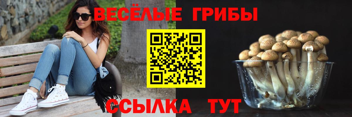 Балашиха  Псилоцибиновые грибы MAGIC MUSHROOMS  Вход с VPN 